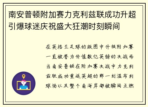 南安普顿附加赛力克利兹联成功升超引爆球迷庆祝盛大狂潮时刻瞬间